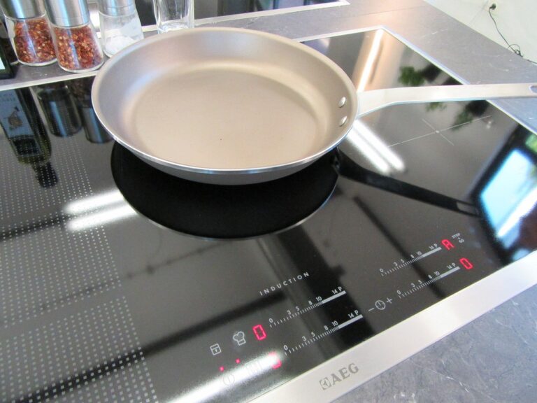 Induction Cooking: Pros and Cons